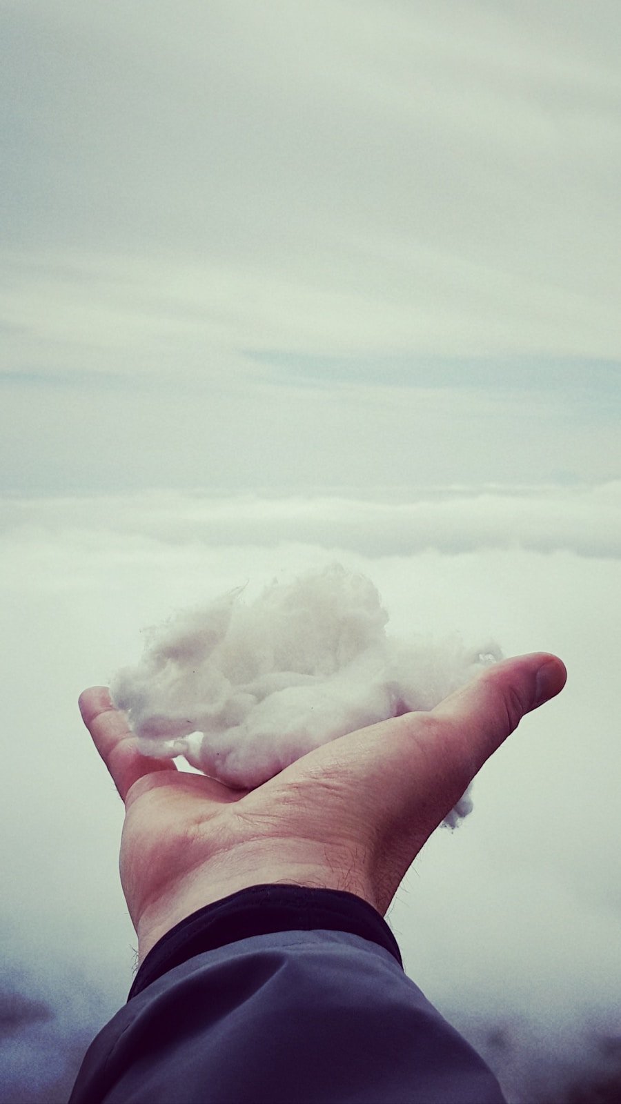 Photo "Cloud vs On-Premise BI: Which One Should You Choose?"