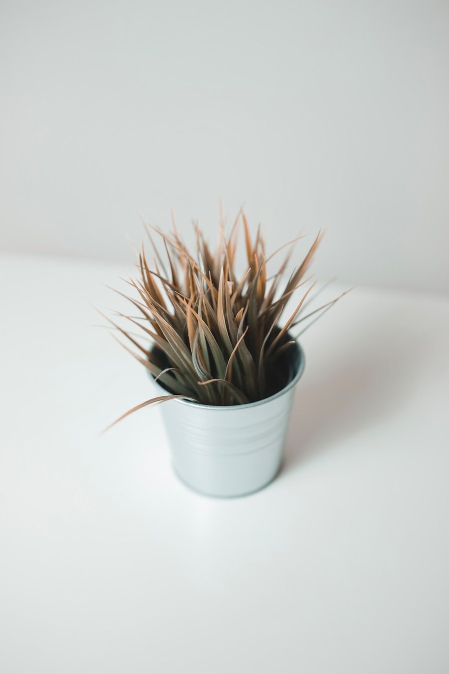 Photo "Turning Churn Into Growth: Retention Marketing That Works"