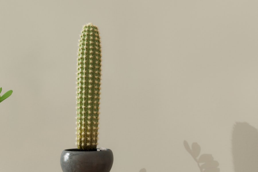 Photo Purchase funnel