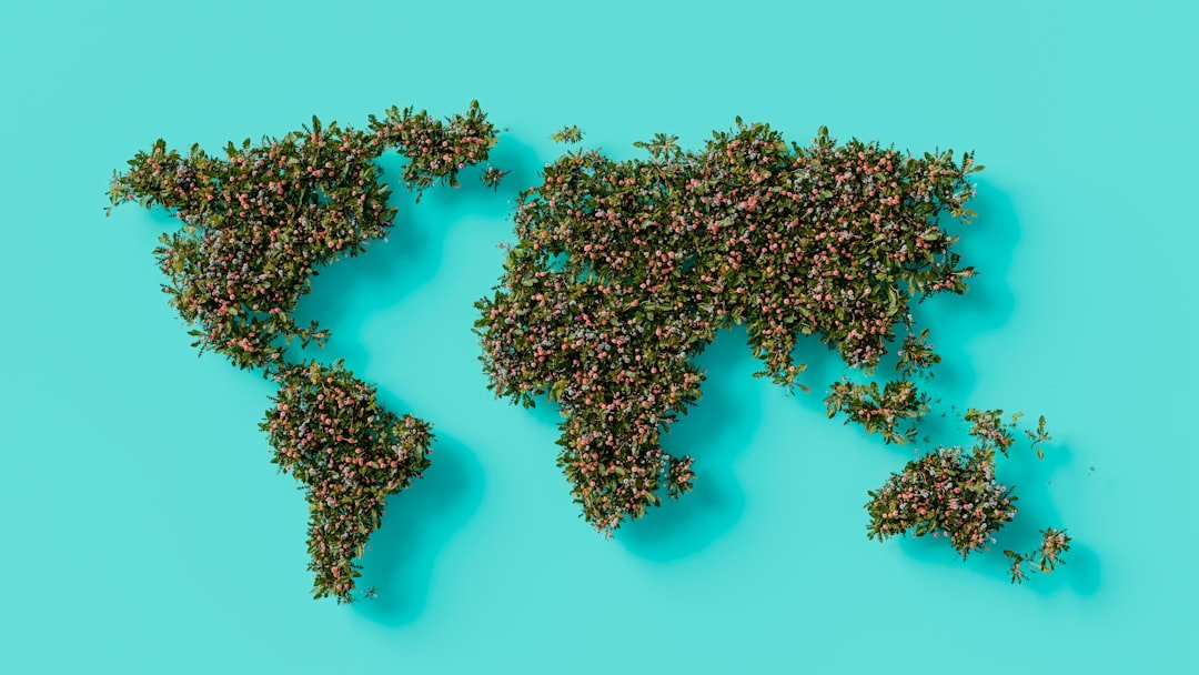 Photo Global Expansion