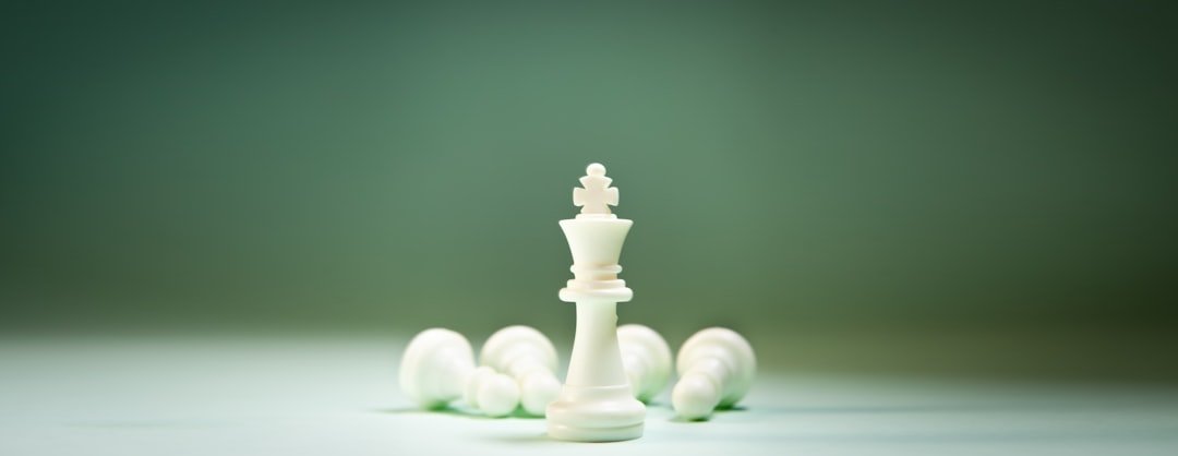 Photo Business Intelligence Maturity Model