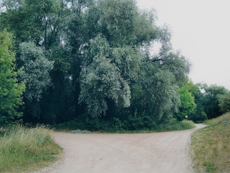 Photo Decision-Making