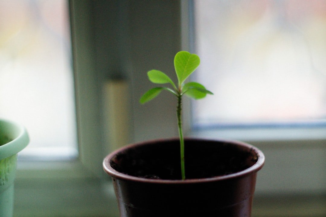 Photo Growth Without CAC Control